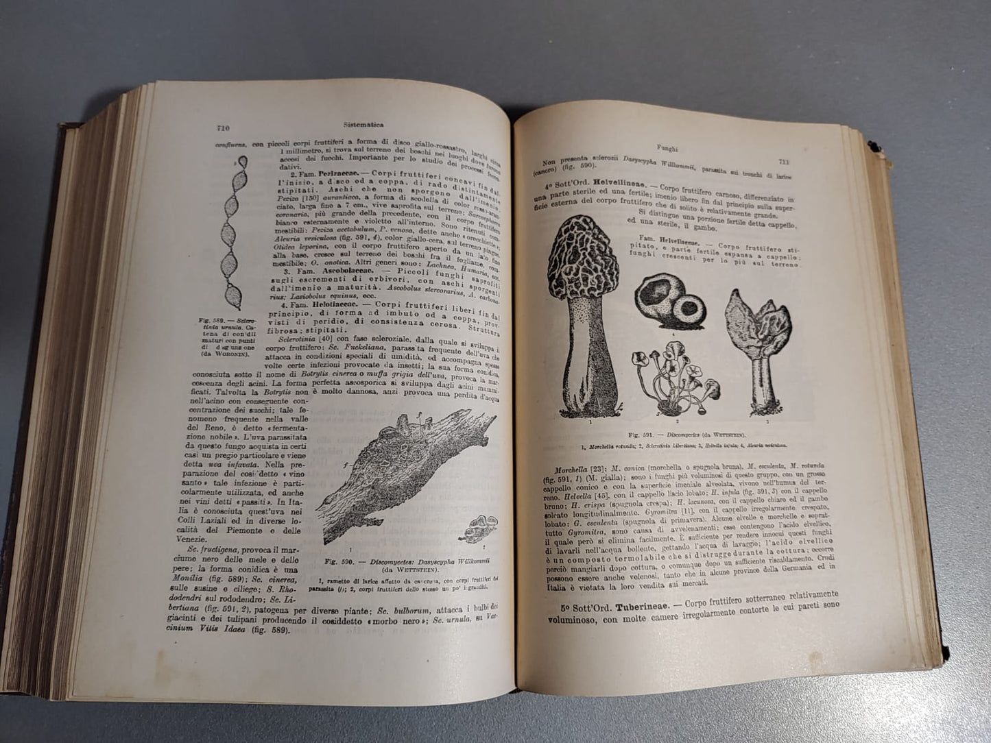 Botanica – Manuale UTET del 1946 | Gola, Cappelletti – Edizione Storica Illustrata